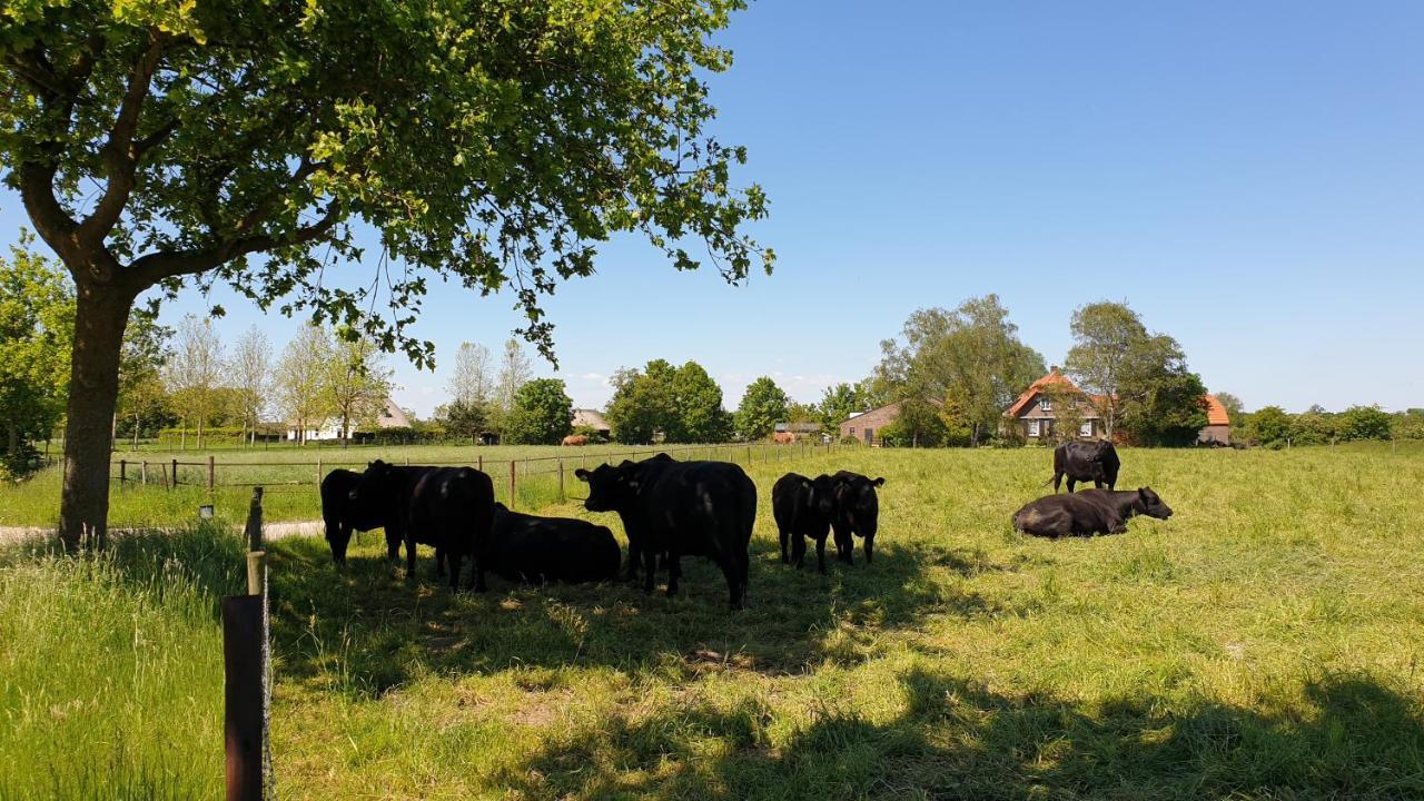 B&B De Scherpenhof Leur Exterior photo